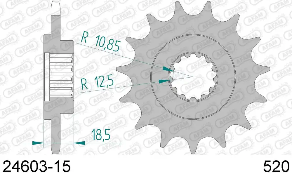 Kawasaki z 750 r 750 pignone afam 24603-15 passo 520 2011 2012 Consegna Rapida