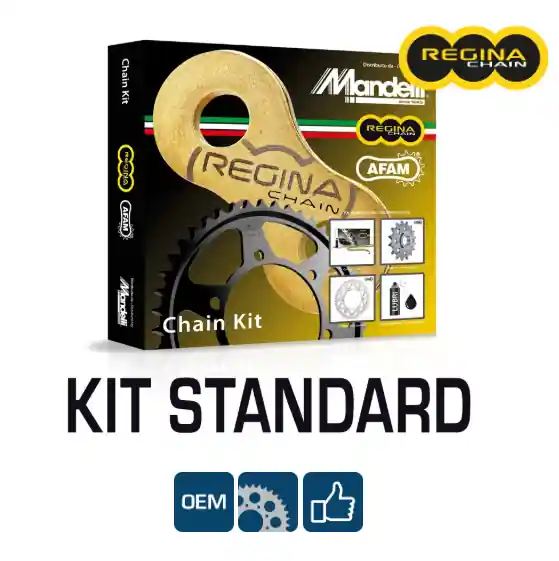 Bestseller Malaguti xsm 50 super motard 50 regina kit catena corona pignone 2007 2008