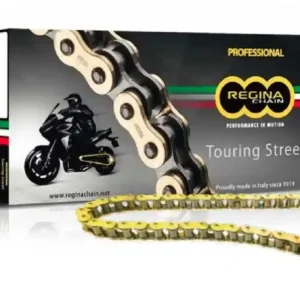 Ordina Subito Ducati 600 monster 600 catena regina 135zrt 100 maglie passo 520 oro 1995 1997
