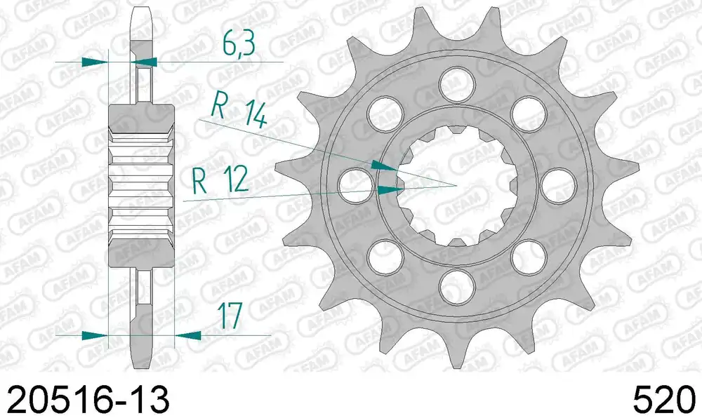 Bestseller Pignone afam 20516-13 passo 520