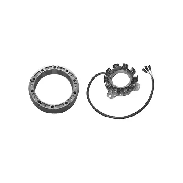 Carletti motore lombardini ldw502 diesel statore volano 1157.153-1157.154 Economico