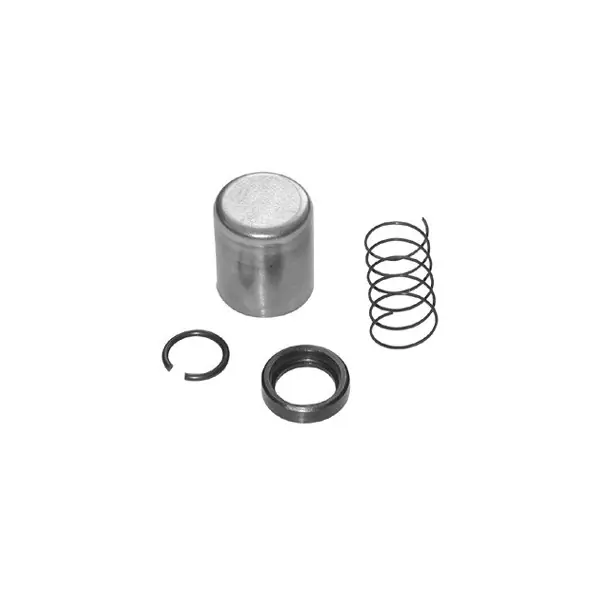 Professionale Piaggio ape cross rst/cross cauntry (c8000) 50 kit revisione pignone per 17.8100 mitsuba 1999 2013