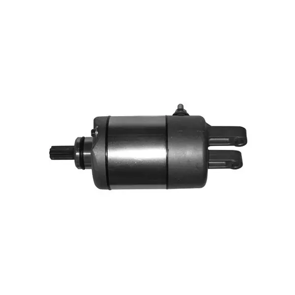 Aprilia leonardo / leonardo st 250 motorino avviamento mitsuba 1999 2001 Ultime Pezzi