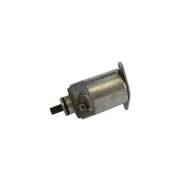 Spedizione Espresso Adiva ad e3 / ad cabrio le e3 (sym) 125 motorino avviamento sgr 2009 2011