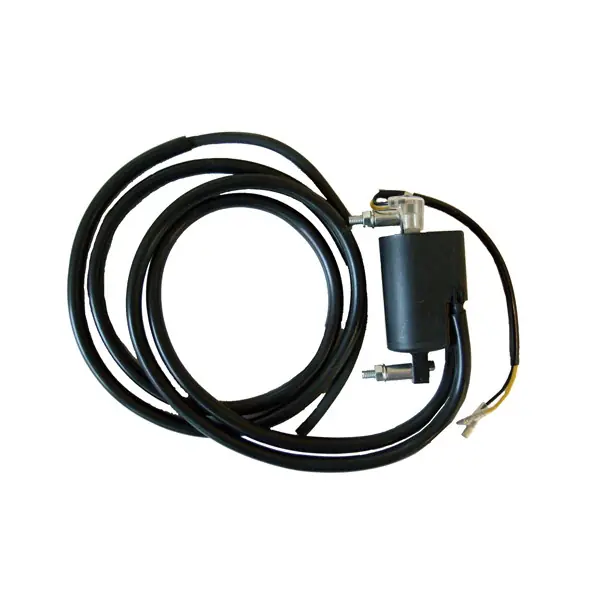 Compra Adesso Benelli quattro 4c 4t 250 bobina doppia accensione n n