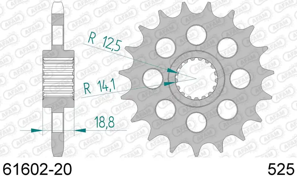 Ultime Pezzi Bmw f 800 r 800 pignone afam 61602-20 passo 525 2005 2014