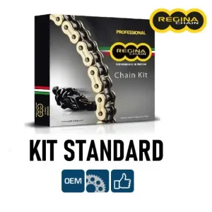 Kawasaki en 650 vulcan s 650 regina kit catena corona pignone 2015 2017 Subito Disponibile