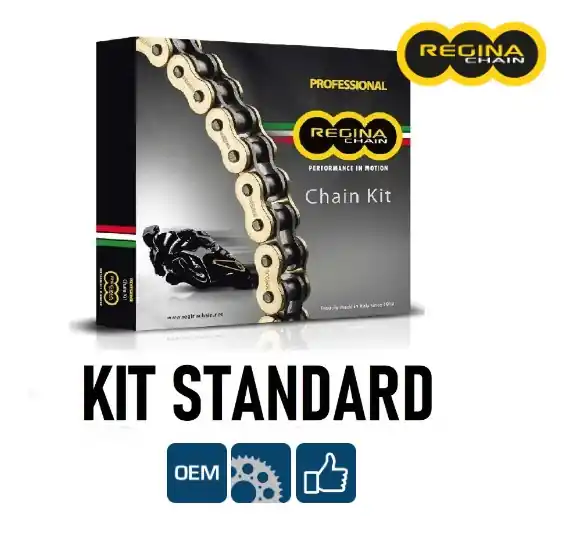 Kawasaki en 650 vulcan s 650 regina kit catena corona pignone 2015 2017 Subito Disponibile