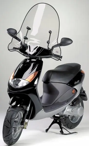 Sconto Cupolino parabrezza fabbri peugeot vivacity 50 100 1999 2006 top alto