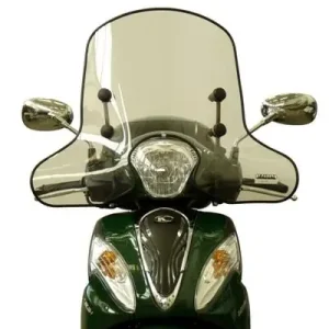 Soddisfatti O Rimborsati Cupolino parabrezza fabbri kymco people one 125i 2013 2018 tuv