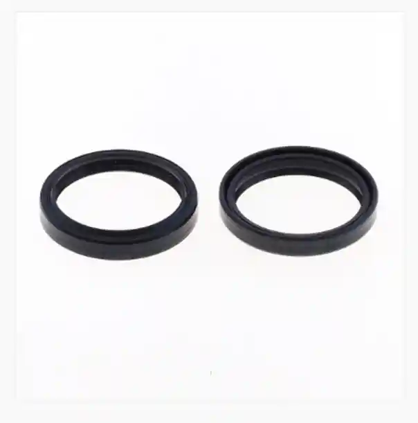 Affare Fantic xe 125 kit paraolio forcella 48x58x8,5/10 mm 2023 2026