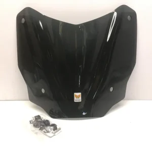Nuovo Arrivo Honda sh 125 cupolino sportivo o.e.m. 2021 2023