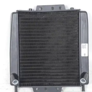 Radiatore piaggio 125 mp3 2011-12 Ordina Subito