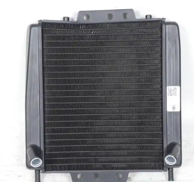 Radiatore piaggio 125 mp3 2011-12 Ordina Subito