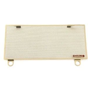 Sconto PROTEZIONE RADIATORE ACQUA SUPERIORE TITANIO MOTOCORSE DUCATI PANIGALE 1299-