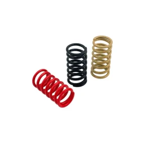 Nuova Collezione MOLLE FRIZIONE H38 CNC RACING DUCATI ST2 1997-03-