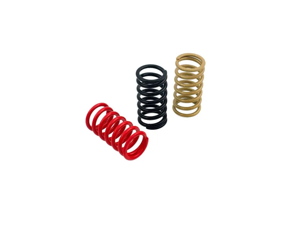 Nuova Collezione MOLLE FRIZIONE H38 CNC RACING DUCATI ST2 1997-03-
