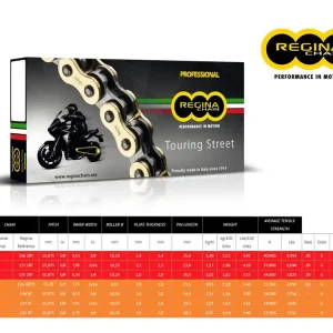 Esclusivo CATENA REGINA 136ZRT PASSO 530 TRIUMPH SPRINT 955 93-98-