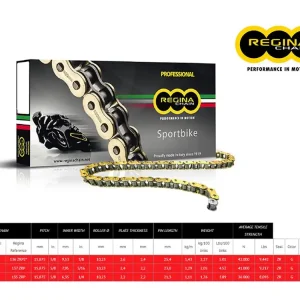 Economico CATENA REGINA 137ZRP PASSO 525 MV AGUSTA BRUTALE 1078 / RR 08-09-