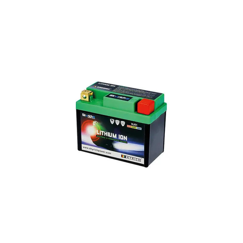 BATTERIA SKYRICH LITIO HJ01-FP Must-Have