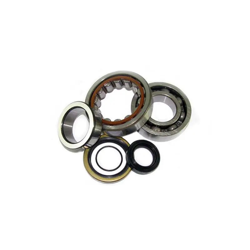 Reso Gratuito KIT CUSCINETTI E PARAOLIO PER ALBERO MOTORE ALL-BALLS (RIF: 24-1107)