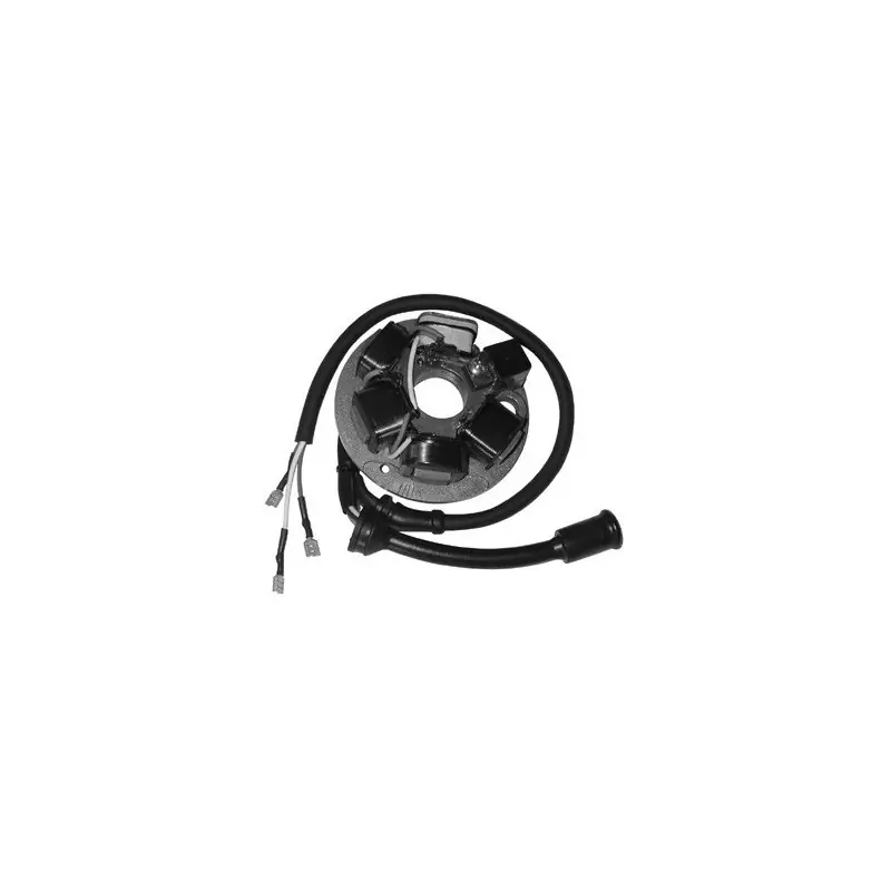 STATORE DUCATI VESPA PK 50 S (C/AVVIAMENTO ELETTRICO-82/85) Offerta Speciale
