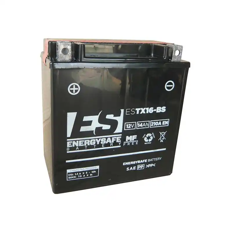 Promozione Esclusiva BATTERIA ENERGYSAFE ESTX16-BS