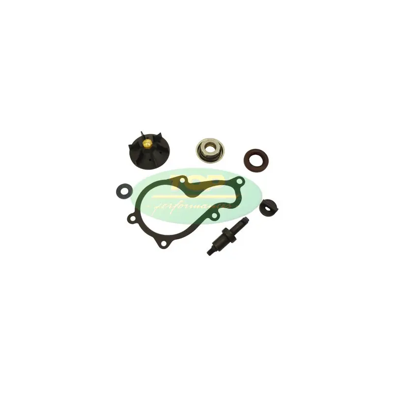 Reso Gratuito KIT REV,POMPA ACQUA BEVERLY 350