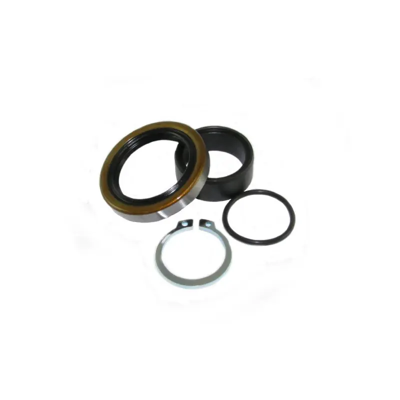 Subito Disponibile KIT REVISIONE ALBERO PIGNONE (RIF. ALL-BALLS: 25-4026)