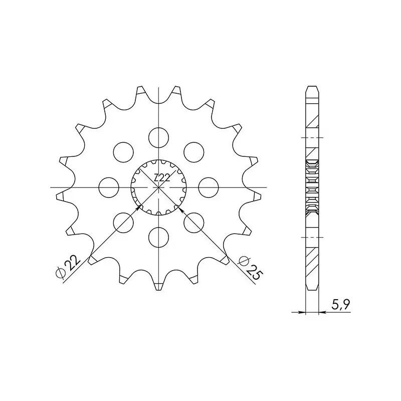 PIGNONE P520 - Z13 (DIS.61201) Scelto Dai Clienti