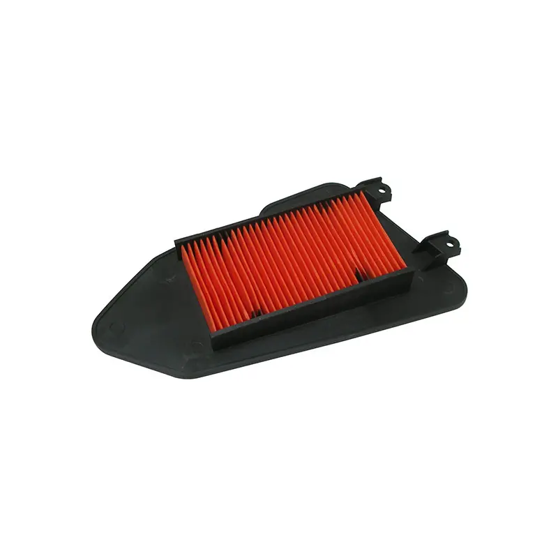 FILTRO ARIA HONDA LEAD 100 (03/07) Rif. MIW: H1224 Professionale