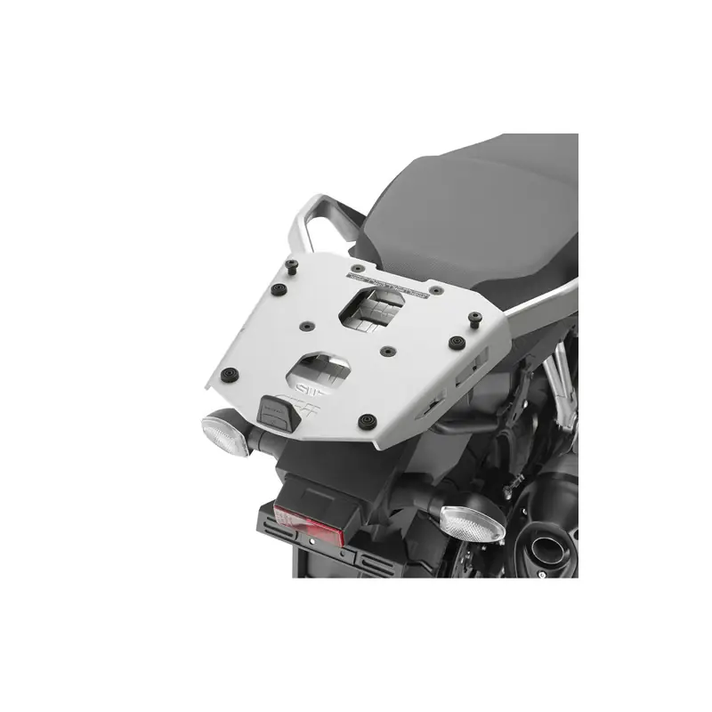 PORTAPACCHI SUZUKI DL650 VSTRM Miglior Prezzo