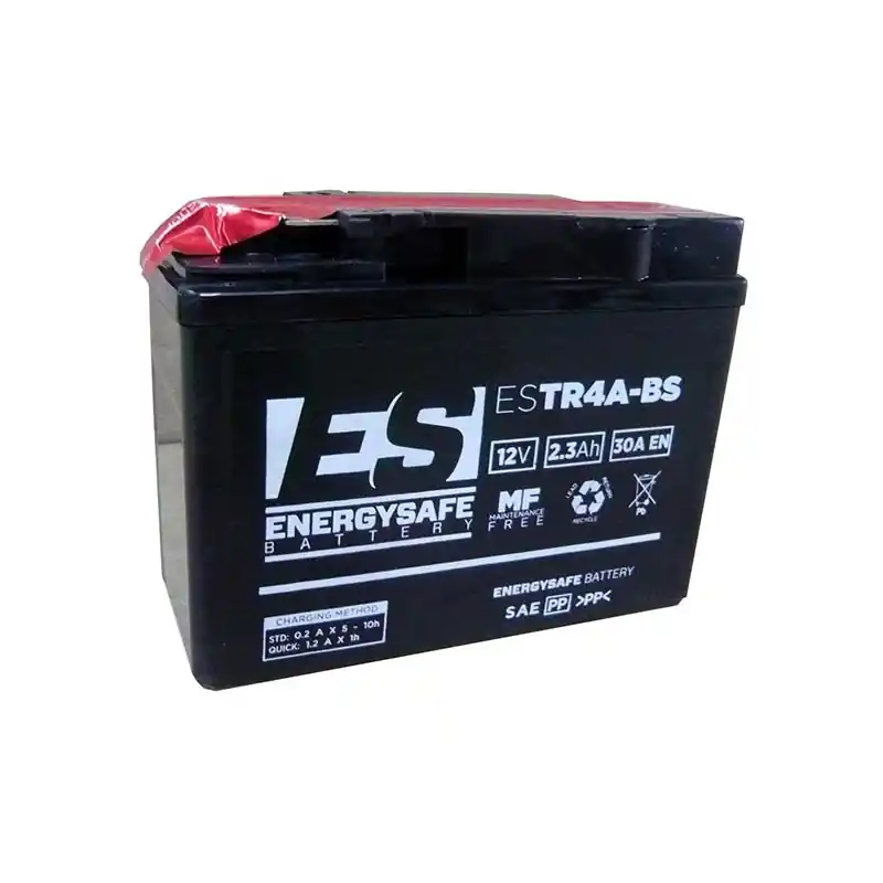 Ultimissimo Modello BATTERIA ENERGYSAFE ESTR4A-BS