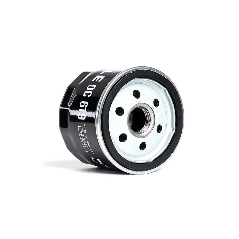 Offerta Del Giorno FILTRO OLIO MAHLE (OC619) BMW K1300