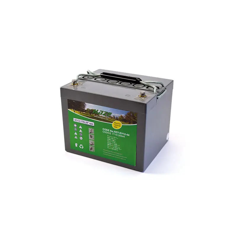 BATT. PIOMBO GEL EV 12V 38AH C20 Spedizione Espresso