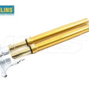 Prezzo Basso FORCELLA R&T OHLINS NIX 43MM ORO BMW S 1000 RR 2019-2023-