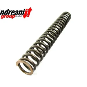 ANDREANI MOLLA FORCELLA ANTERIORE PER CARTUCCE MISANO TARATURA CARICO MOLLA CARTUCCIA 7.8- Vendita Finale