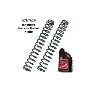 Di Tendenza MX85 KIT MOLLE FORCELLA BITUBO YAMAHA FZ1 2006-2009-