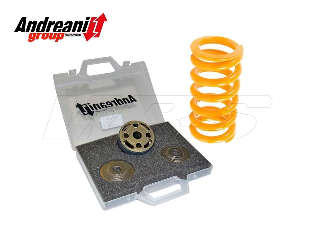 Economico KIT MODIFICA MONO OEM ANDREANI MV AGUSTA BRUTALE 800 2012 (SACHS 16)-
