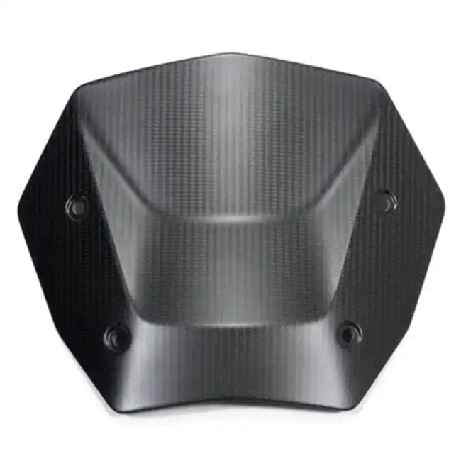 Professionale Cupolino Ilmberger Carbonio per BMW R1300 GS e GS Adventure-