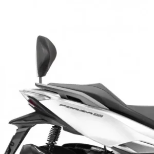 Occasione Imperdibile Schienalino Shad specifico per Honda Forza 125/300 e ADV 350-Argento
