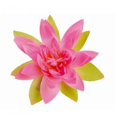 Loto Rosa serie Fiori da moto e scooter Tucano Urbano- Prezzo Di Fabbrica