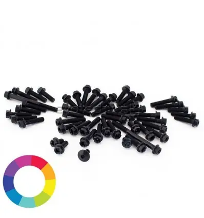 Set bulloneria ergal per carena Aprilia Caponord 1200-Argento Affare