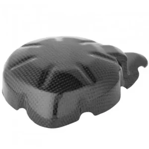 Direttamente Dal Produttore Coperchio alternatore Lightech in carbonio per Kawasaki Z900 dal 2017-