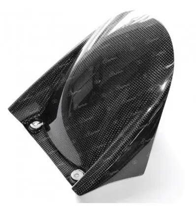 Parafango posteriore Lightech Carbonio lucido Per Aprilia RSV4 e Tuono V4 1000/1100- Compra Online