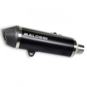 Pagamento Sicuro Marmitta Malossi Wild Lion CE per BMW C650 Sport-