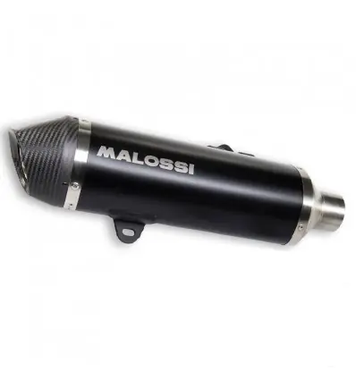 Pagamento Sicuro Marmitta Malossi Wild Lion CE per BMW C650 Sport-
