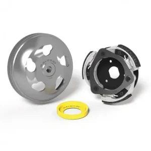 Promozione Esclusiva Frizione e campana Malossi Maxi Delta System per Honda Forza 125-