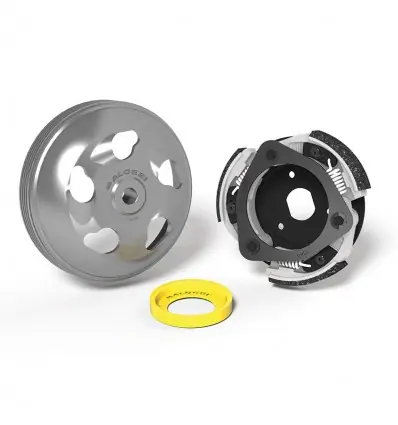 Promozione Esclusiva Frizione e campana Malossi Maxi Delta System per Honda Forza 125-
