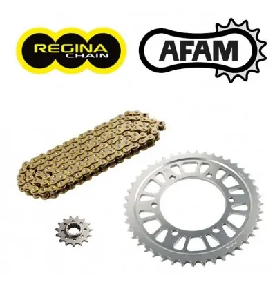 Kit trasmissione Newfren per Aprilia RSV 1000R 04-09, Tuono 10-11...- Offerta Speciale